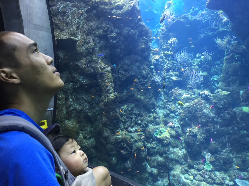 mitch and mason at the aquarium